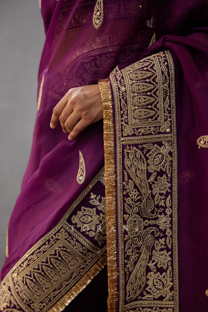 Gul-Rez Amruta Saree