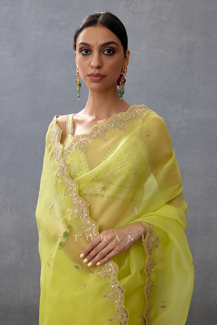 Gul-Mina Nayantara Saree