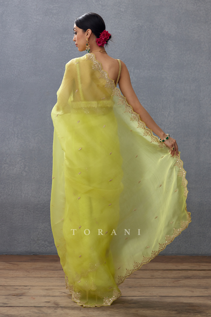 Manushi Chhillar in our Gulaban Nayantara Ziya Saree Set