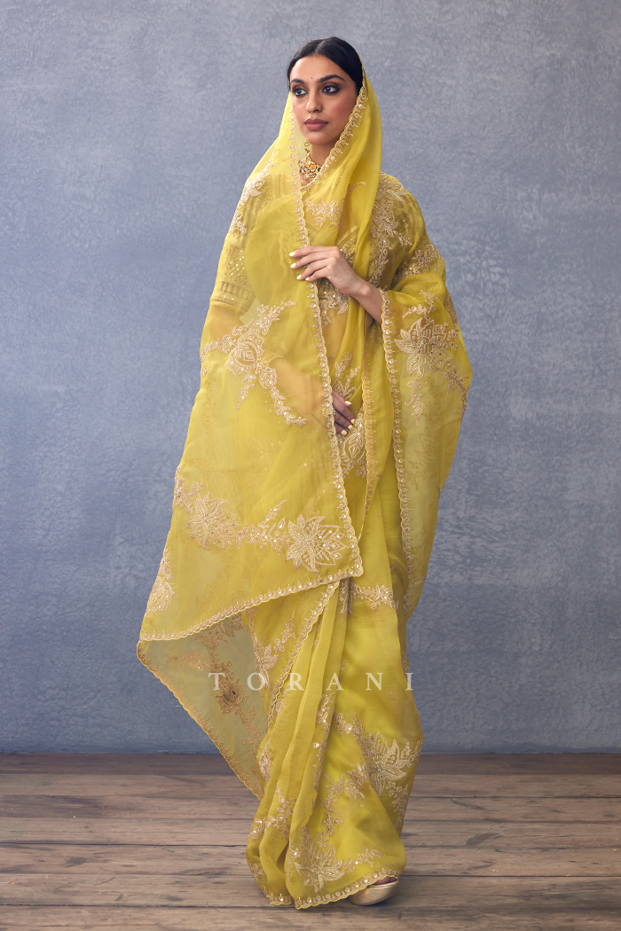 Gul-Mehtab Daavya Saree
