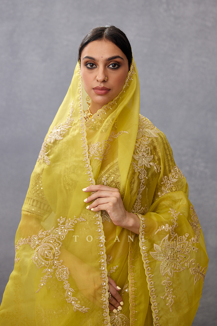 Gul-Mehtab Daavya Saree