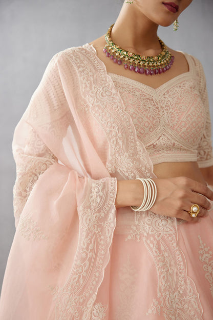 Kaner Meher Passa Lehenga Set