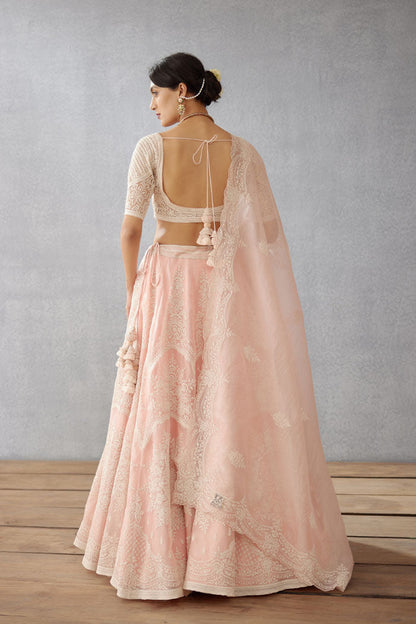 SALE - Kaner Meher Passa Lehenga Set