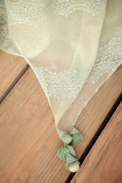 Jaituni Rubani Lehenga Set