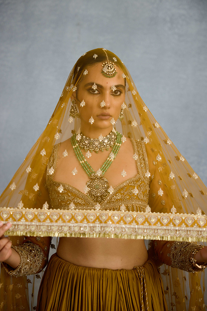 Mehre Naazia Lehenga Set