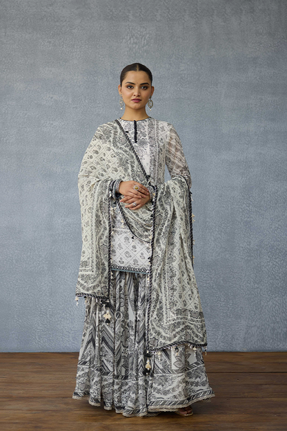 Kalamkari Dakshaa Sharara Set