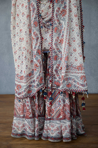 Coromandel Dakshaa Odhni