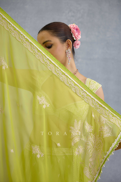 Angoori Avani Lehenga Set