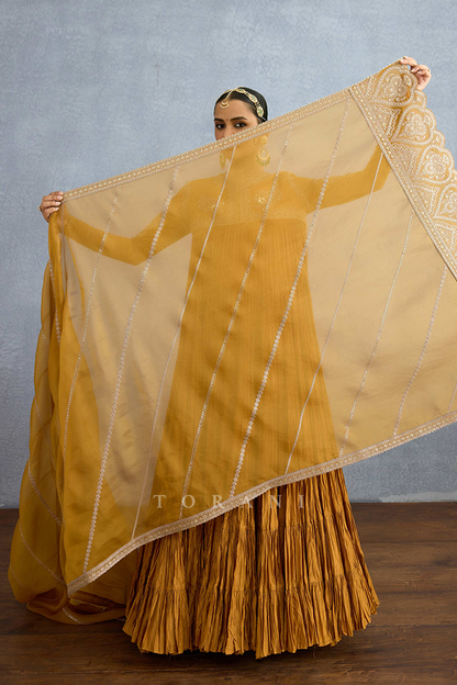 SALE - Mehre Minaj Anarkali Set