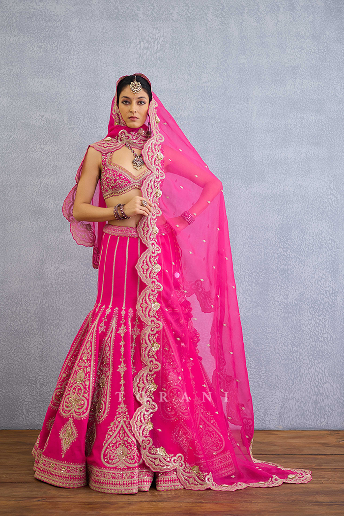 Padma Nyra Lehenga Set