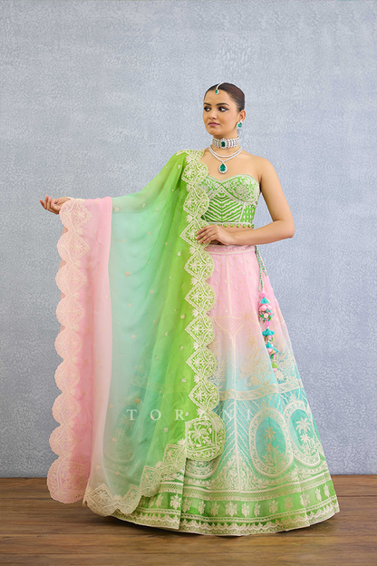 Prakriti Ayra Odhni