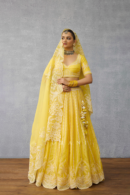 Kasmai Wrija Lehenga Set