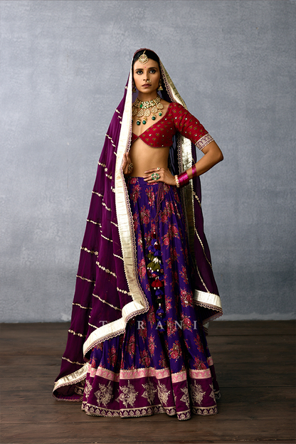 Kalpalata Saroja Manohara Lehenga Set