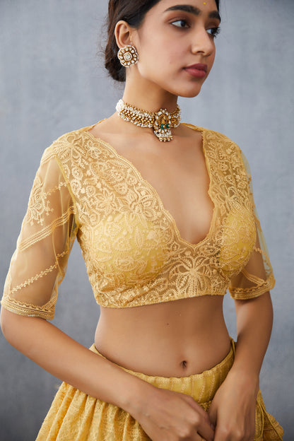 Sunehra Advaita Lehenga Set