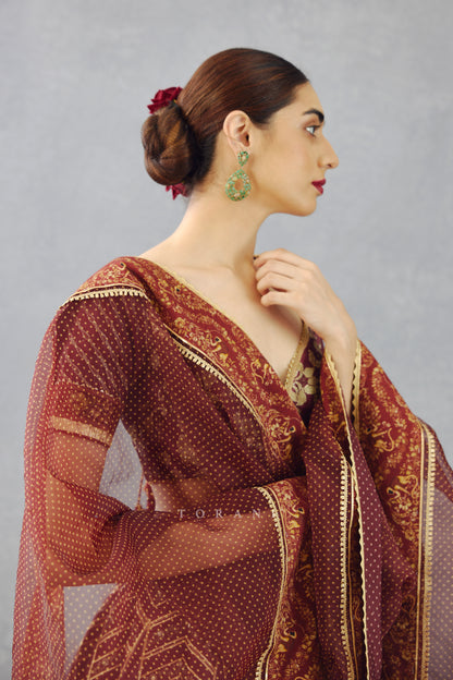 Gulnar Oorjita Lehenga Set