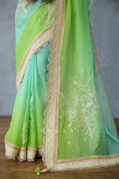 Prakriti Vihana Saree