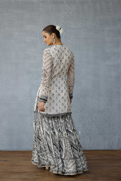 Kalamkari Dakshaa Sharara Set