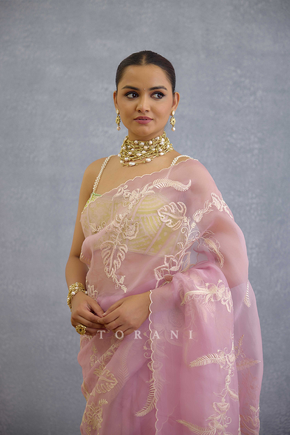 Bakaayan Pankhuri Saree