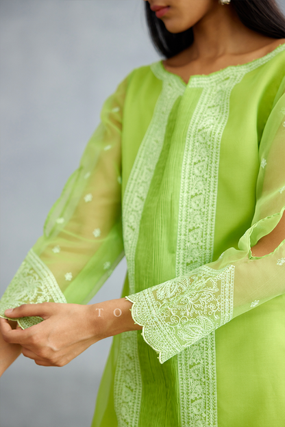 Angoori Abhra Kurta Set