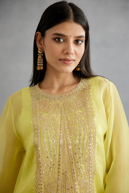 Gul-Mina Revathi Co-ord Set