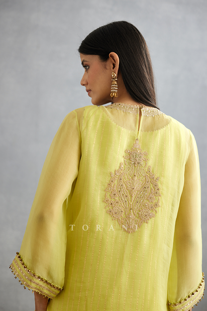 Gul-Mina Revathi Co-ord Set