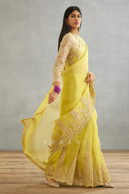 Gul-Mina Geetika Saree