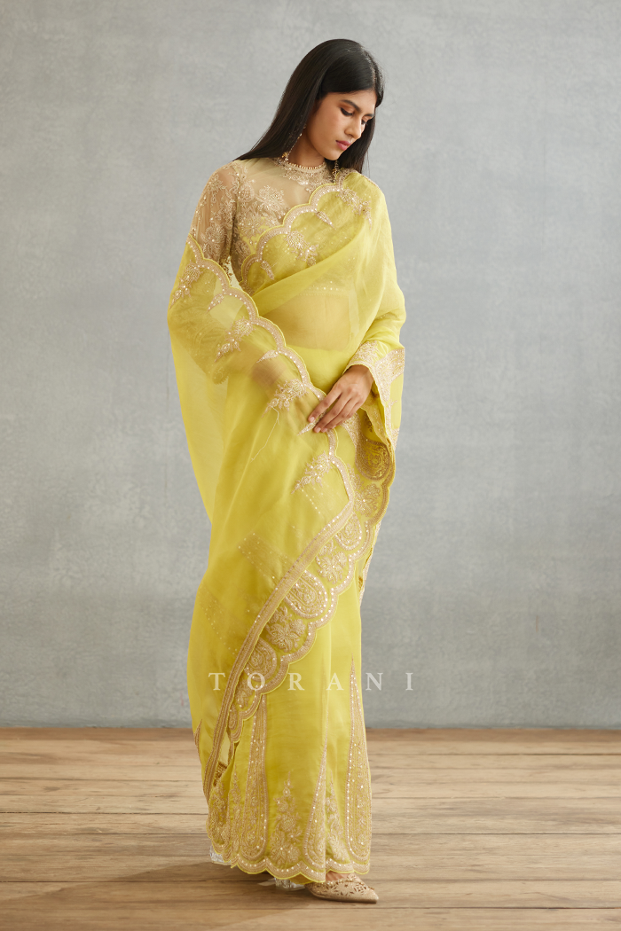 Gul-Mina Geetika Saree