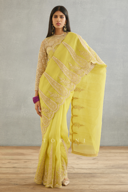 Gul-Mina Geetika Saree
