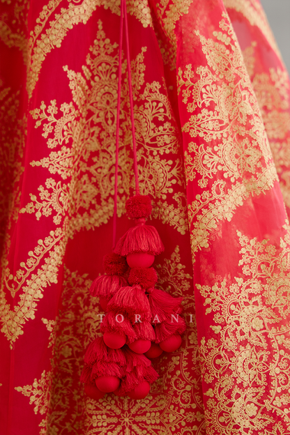 Rang Palaash Meher Passa Lehenga Set