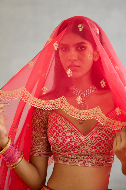 Rang Palaash Paavni Odhni