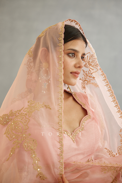 SALE - Gul-Mohar Daavya Saree