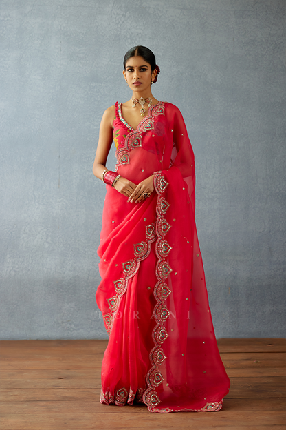 SALE - Dil Surkh Samila Saree