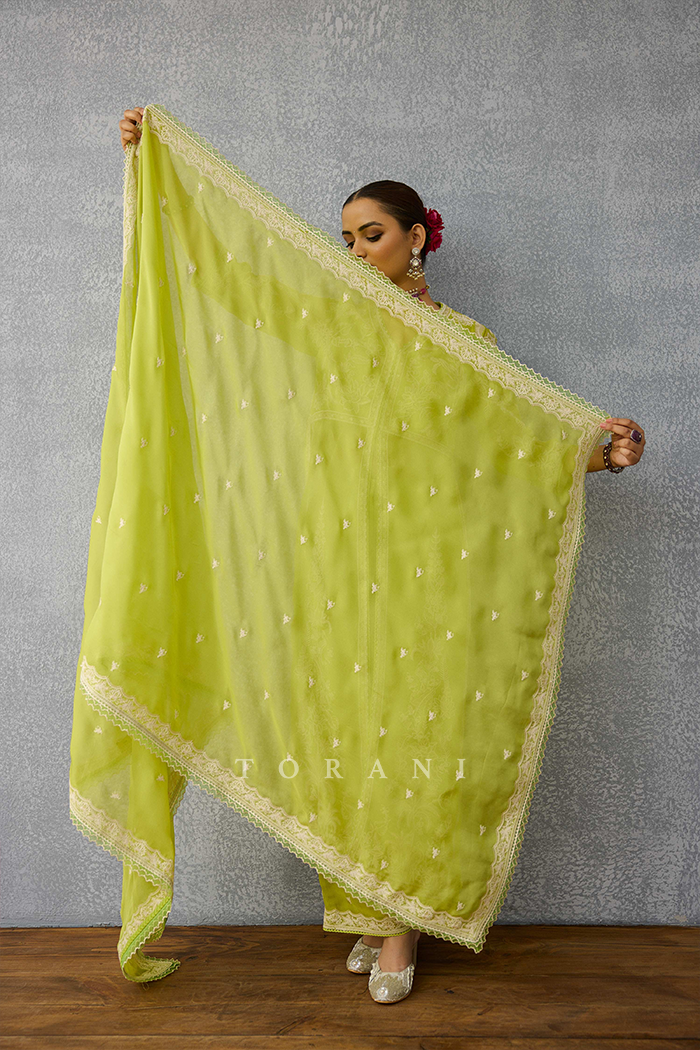 Angoori Udita Kurta Set