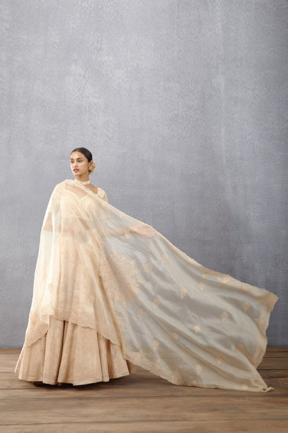 Kasturi Meher Passa Lehenga Set