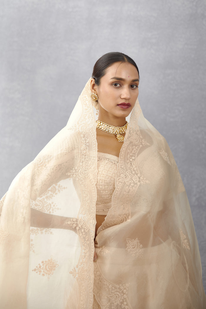 Kasturi Meher Passa Lehenga Set