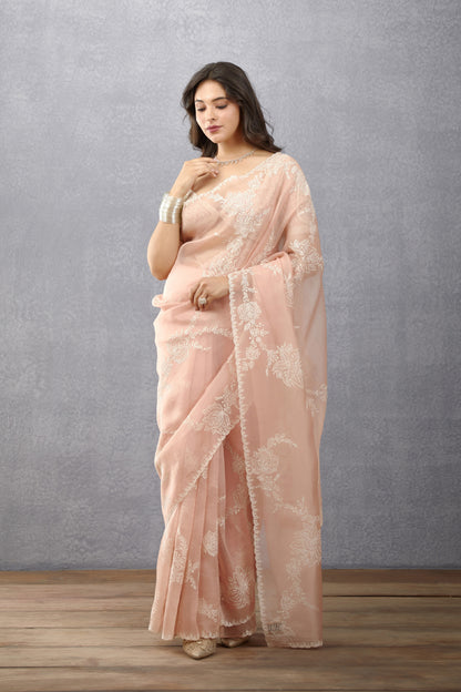 Gul-Naar Daavya Saree