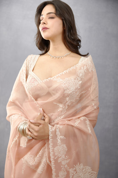 Gul-Naar Daavya Saree