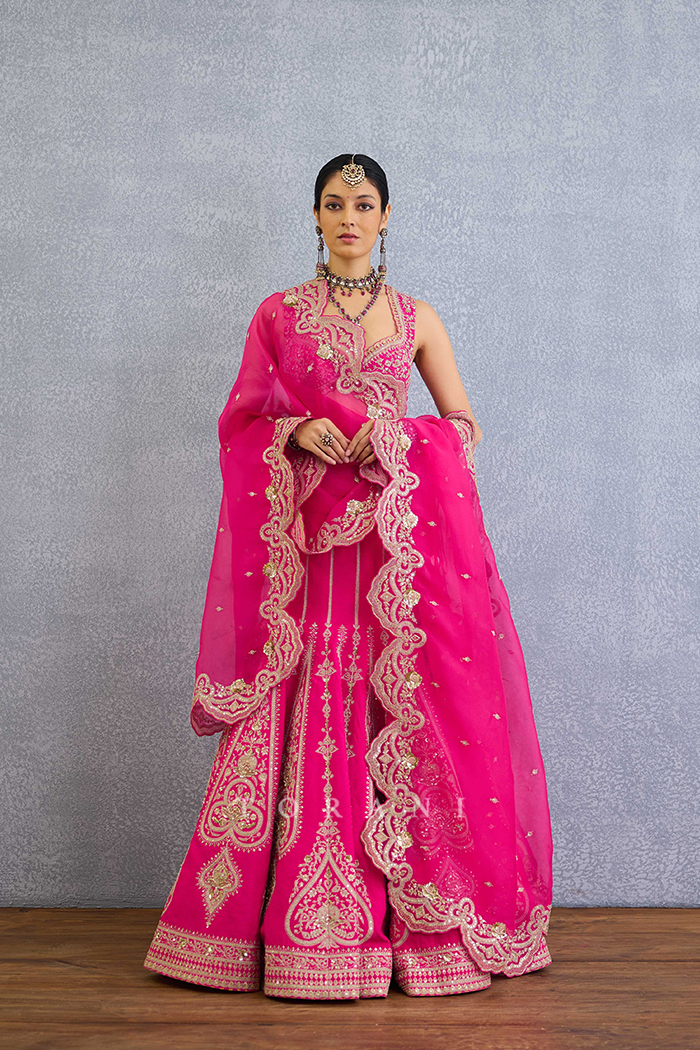 Padma Nyra Lehenga Set