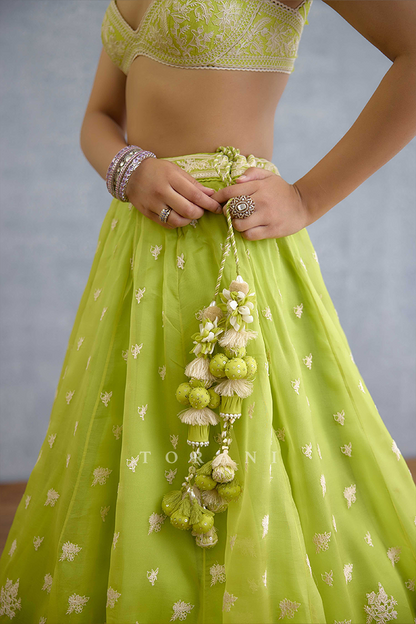 Angoori Avani Lehenga Set