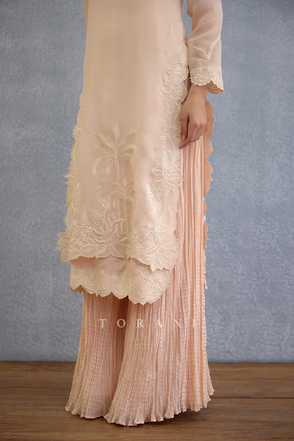 Gul-Mohar Aanya Kurta Set