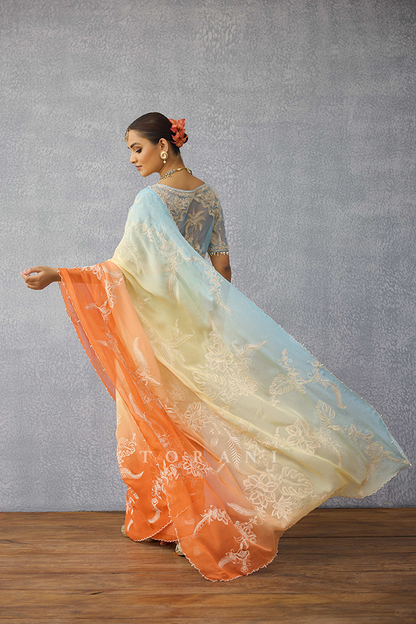 Godhuli Pankhuri Saree