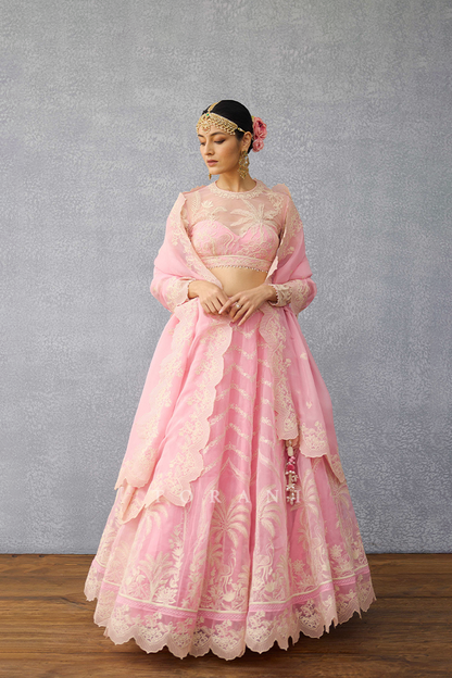 Gulaban Indira Lehenga Set