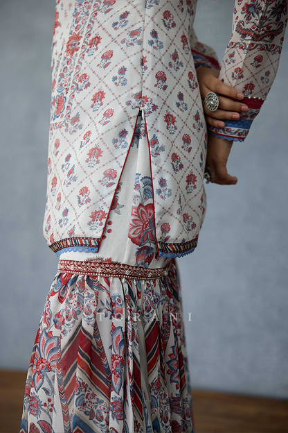 Coromandel Dakshaa Sharara Set