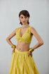 designer embroidered choli in net