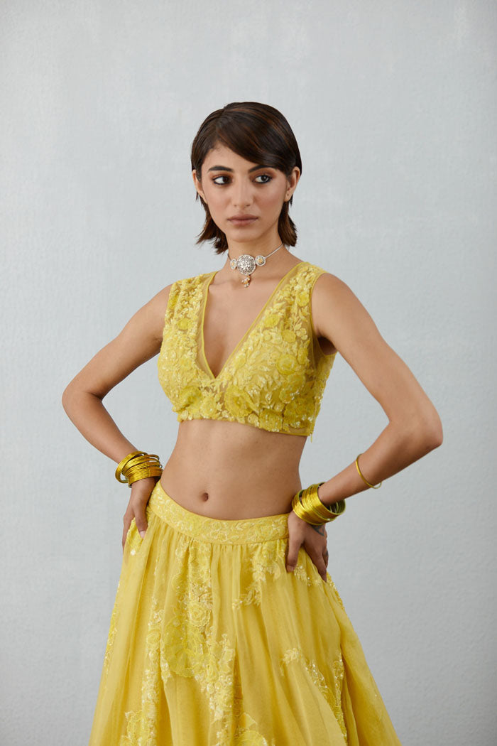 designer embroidered choli in net