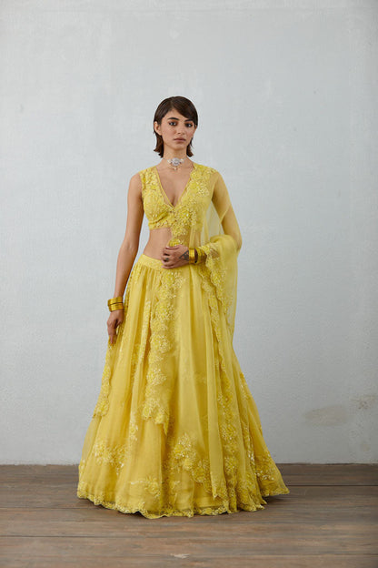 Luxury Yellow lehenga choli set in Organza, net &amp; lycra
