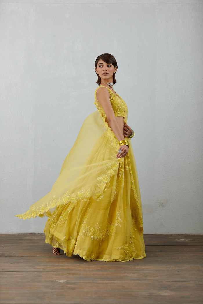 Organza lehenga with net Blouse &amp; lycra dupatta