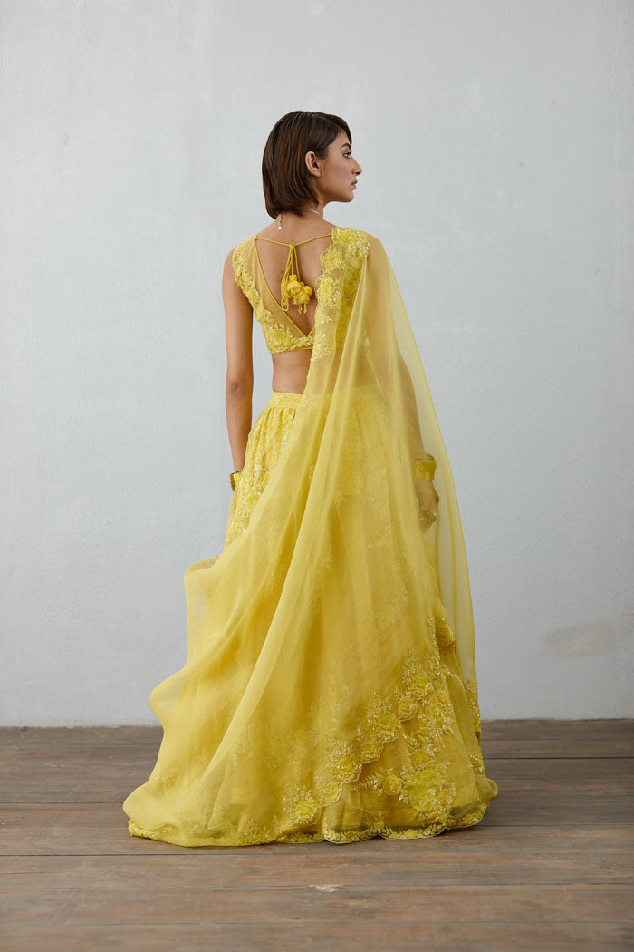 Yellow Embroidered V-neck blouse with organza lehenga &amp; lycra dupatta