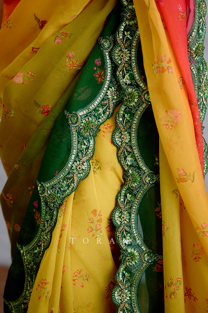 Chitrangi Ziya Saree