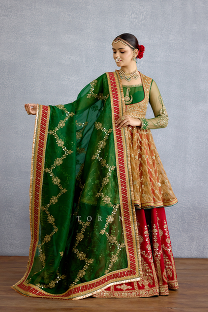 Rangnoor Hameeda Lehenga Set